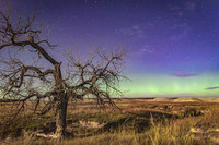 Scenic Aurora