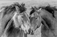 Between Us and the Fencepost