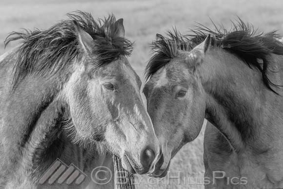 Between Us and the Fencepost