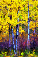 In Fall Bloom