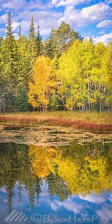 Fall Reflection