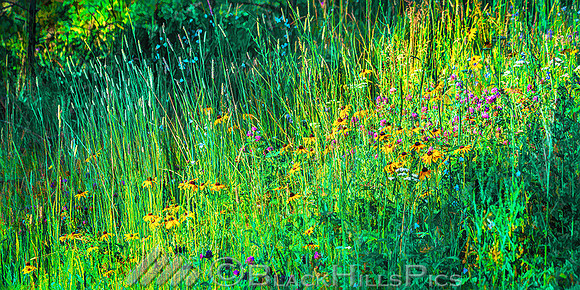 WildflowerBouquet