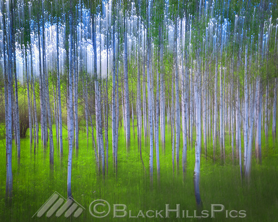 Aspen Mirage