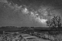Dark Horse on the Prairie