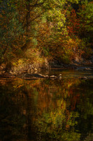 Rapid Creek Impression
