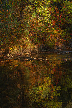 Rapid Creek Impression