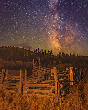 Corral the Night