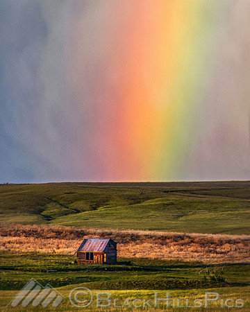House in the Country