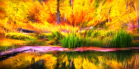 FallPassion
