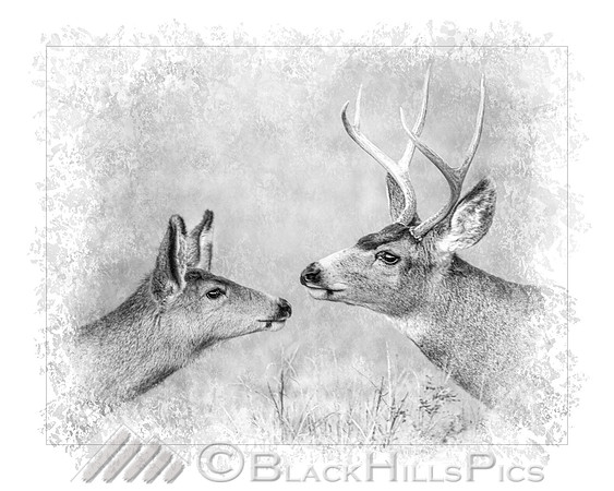 A Gentle Touch
