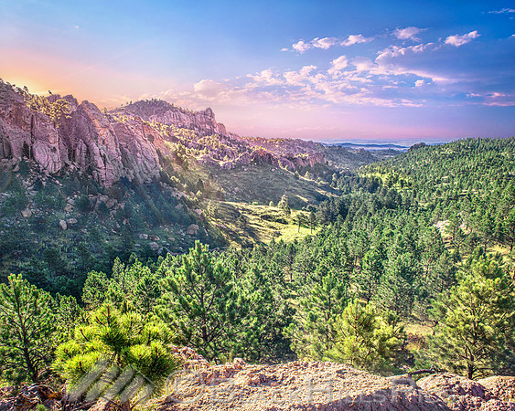 Bear Gulch