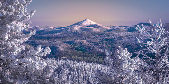 Winter Spotlight