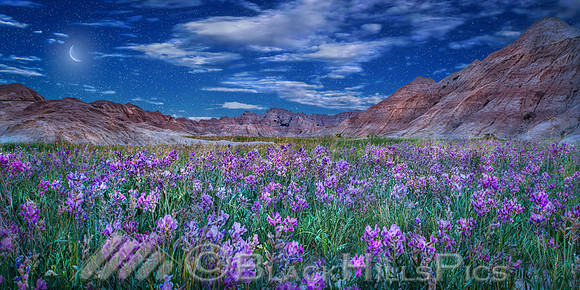 Conata Basin Moonlight